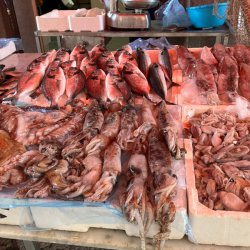 2025 Italien Sizilien